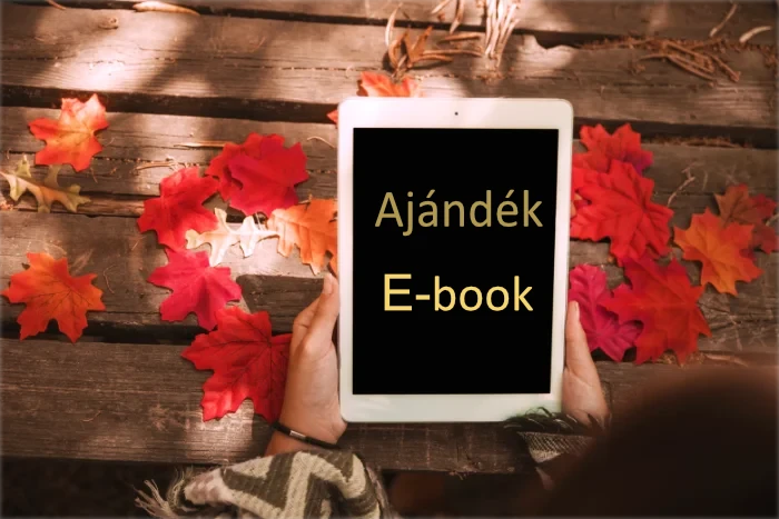 ebook kezben webp ajandek e book