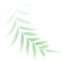 falevel 2 webp forditva